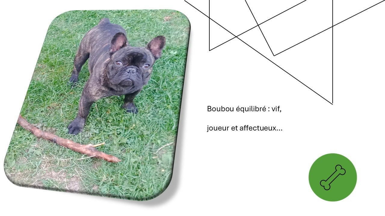 Publication : Alexandre Petris