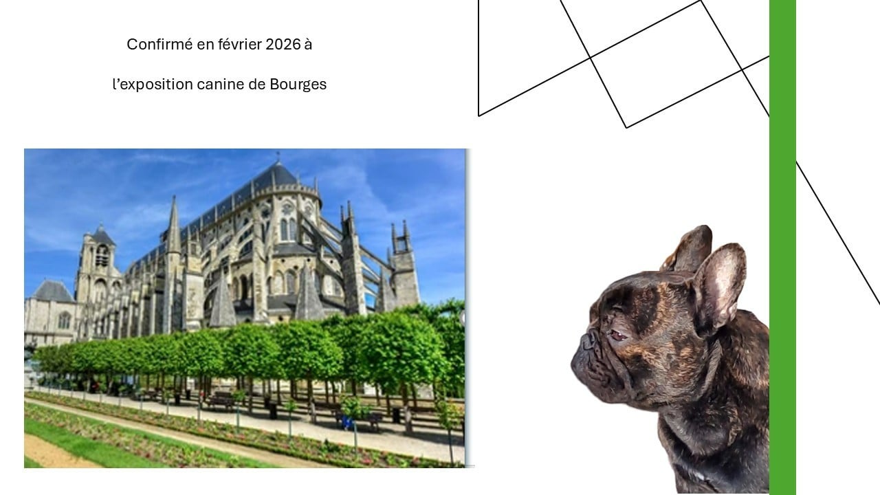 Publication : Alexandre Petris