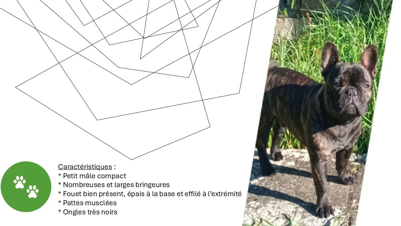 Publication : Alexandre Petris
