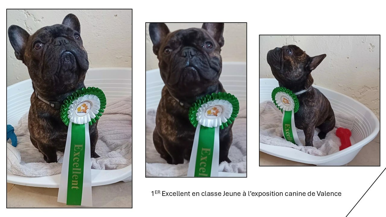 Publication : Alexandre Petris