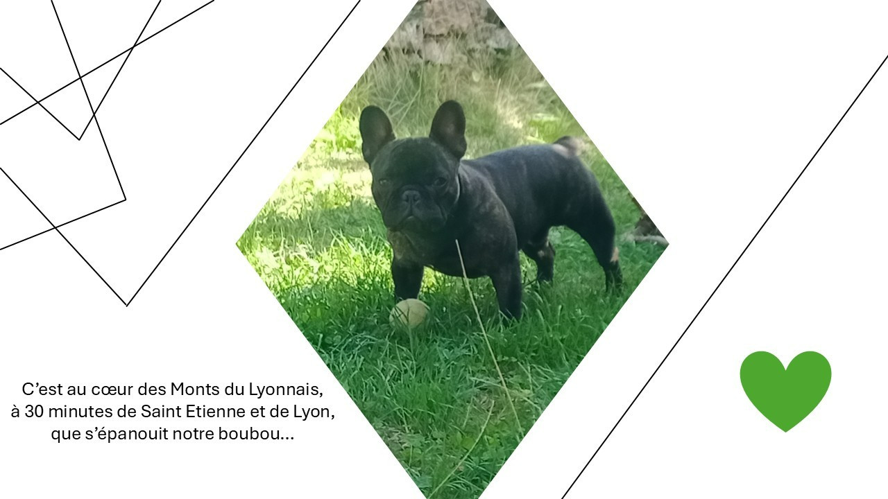 Publication : Alexandre Petris