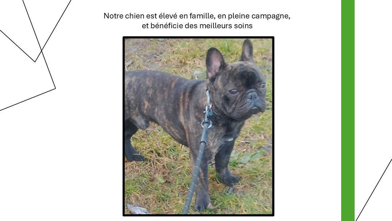 Publication : Alexandre Petris