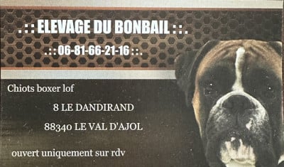 Du Bonbail