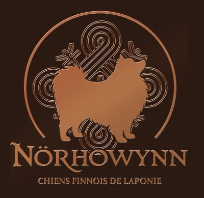 Norhowynn