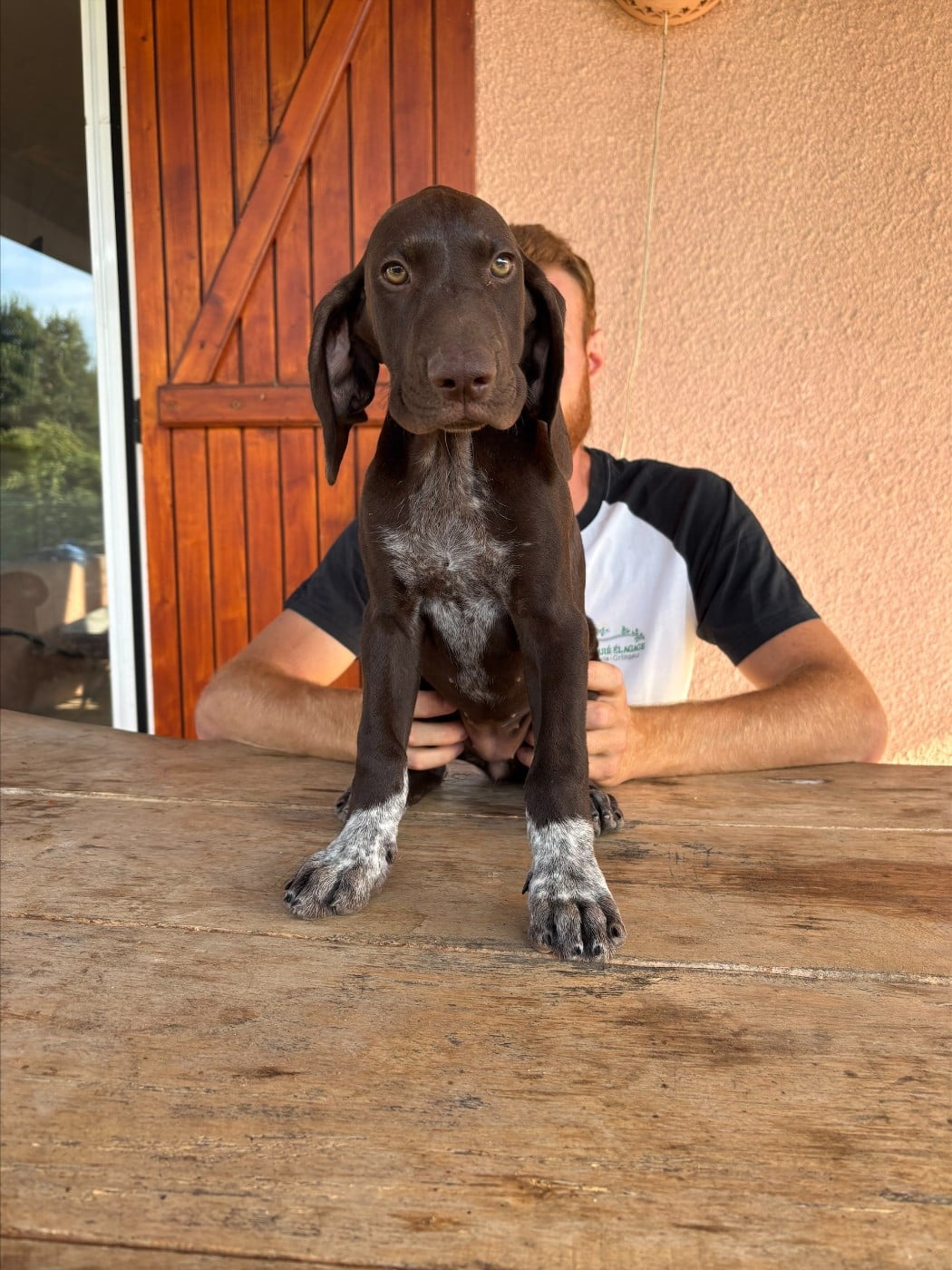 CHIOT 1