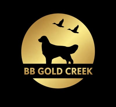 Bb Gold Creek