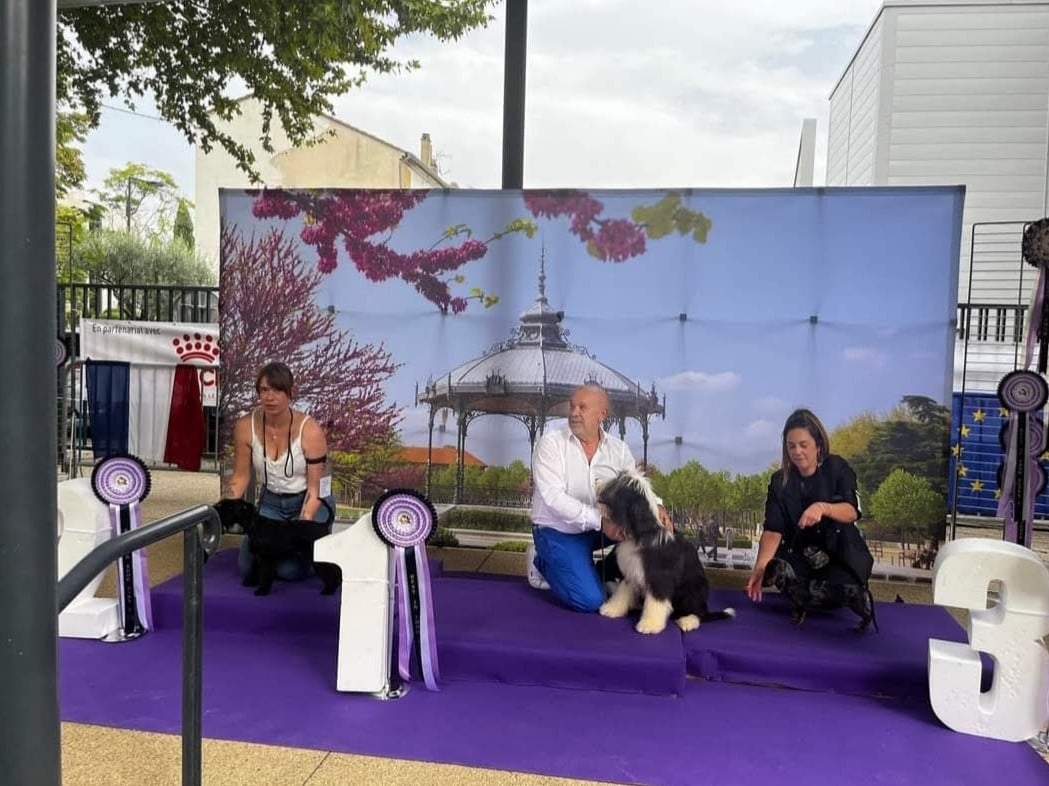 Uno de ker ki douar - 1er Très Prometteur/Meilleur Baby/ 3 ème Best in show baby