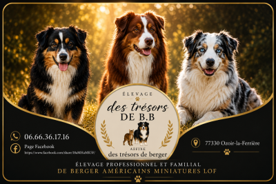 Des Trésors De Berger