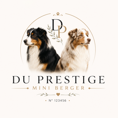 Du Prestige Mini Berger