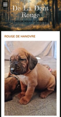 De La Dent Rouge