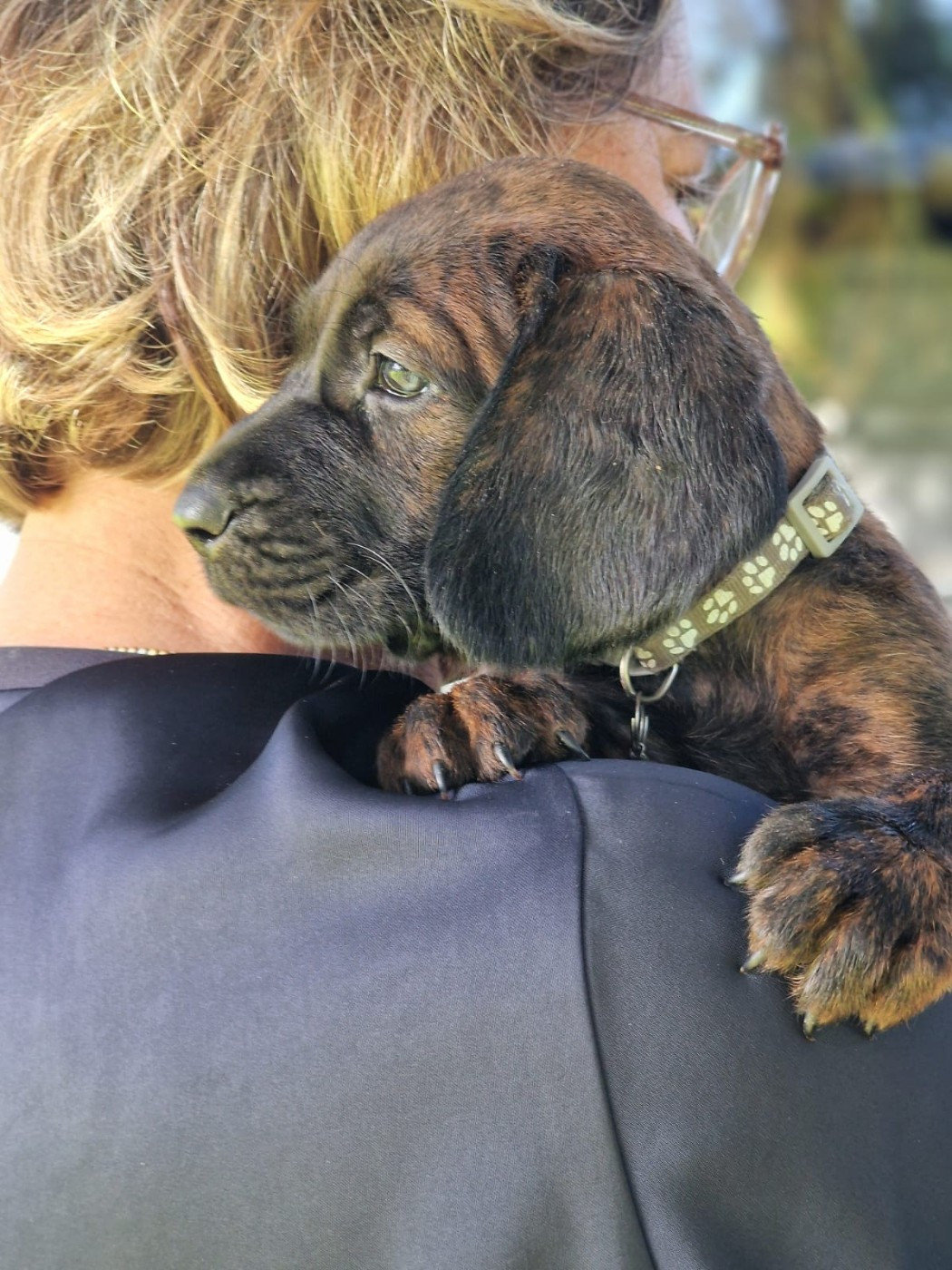 Chiot N°9