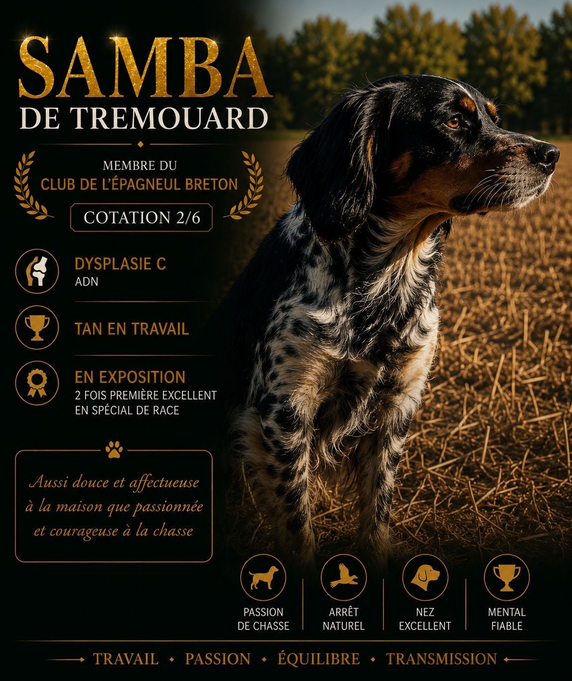 Publication : De La Source Du Layon