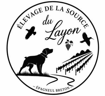 De La Source Du Layon