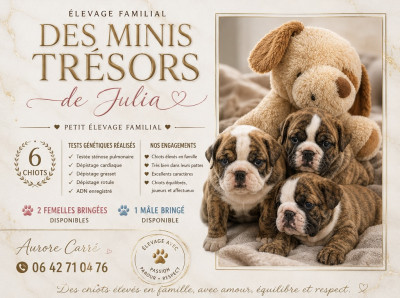 Des Minis Trésors De Julia