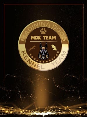 Mdk Team