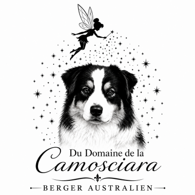 Du Domaine De La Camosciara