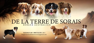 De La Terre De Sorais