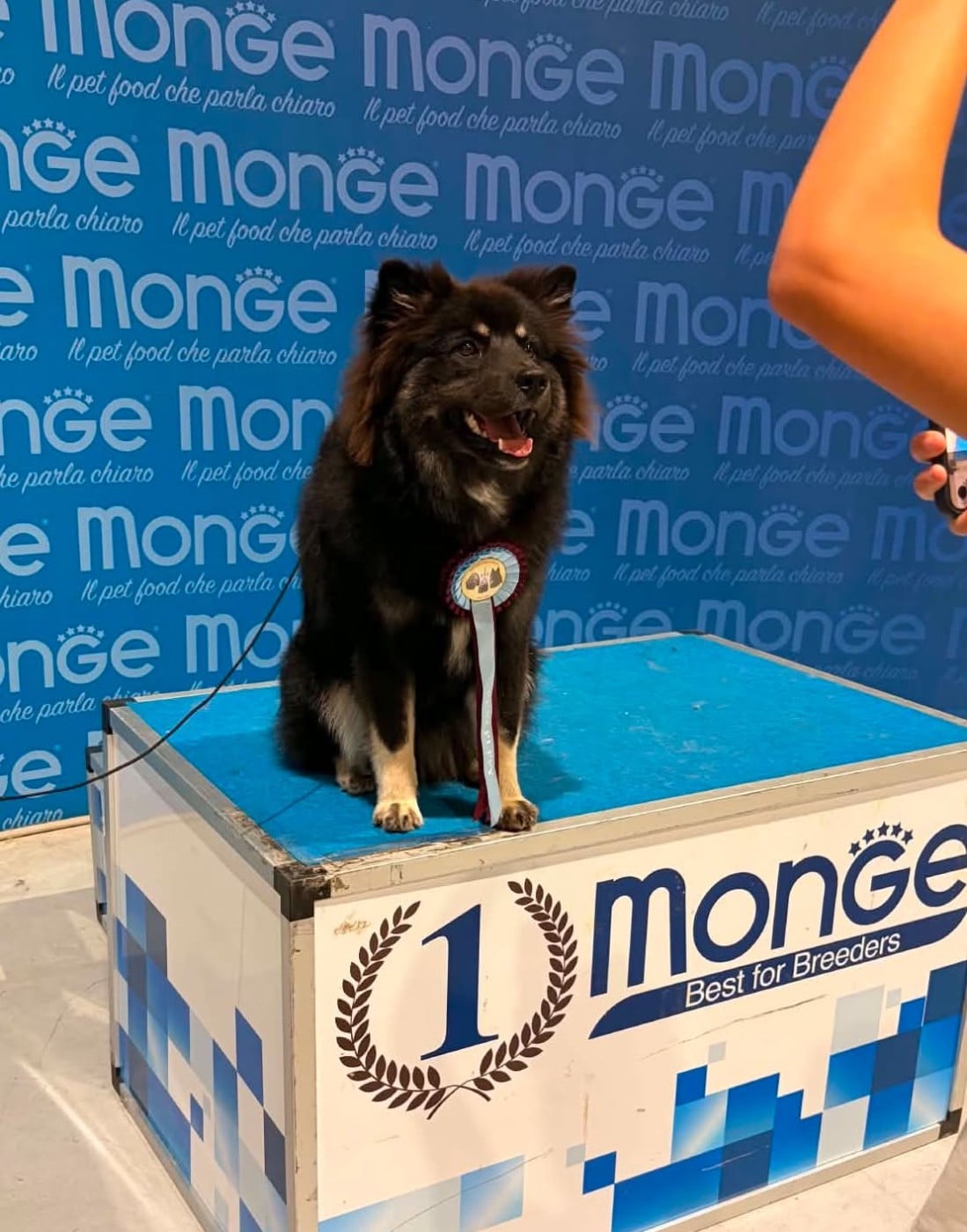 O'khelyara Aeglas Sulë - 1er Très prometteur - Best Puppy