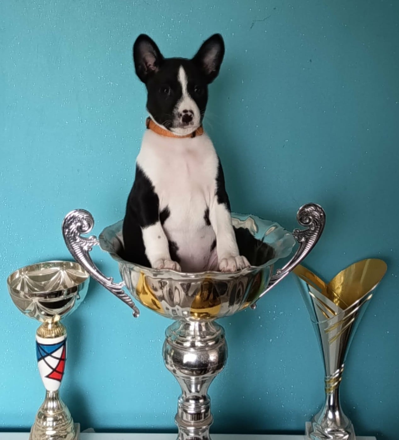 AMSET (Collier orange)