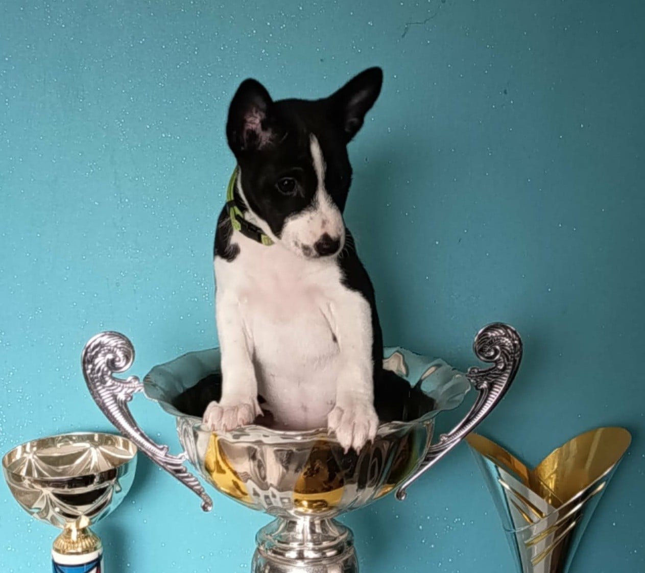 ANOUKIS (Collier vert)