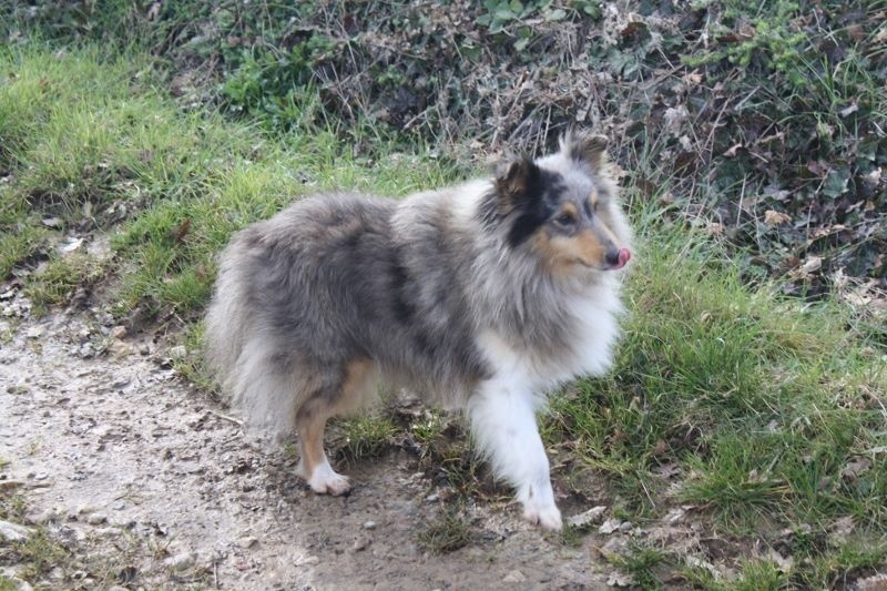 Publication : Du domaine de cora de ramatuelle