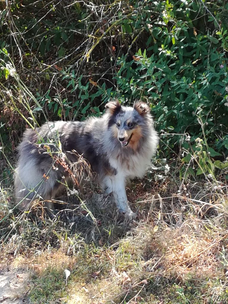 Publication : Du domaine de cora de ramatuelle