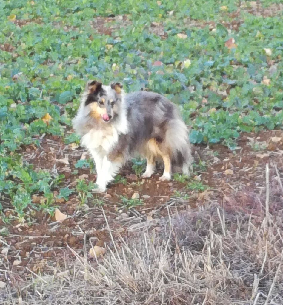 Publication : Du domaine de cora de ramatuelle