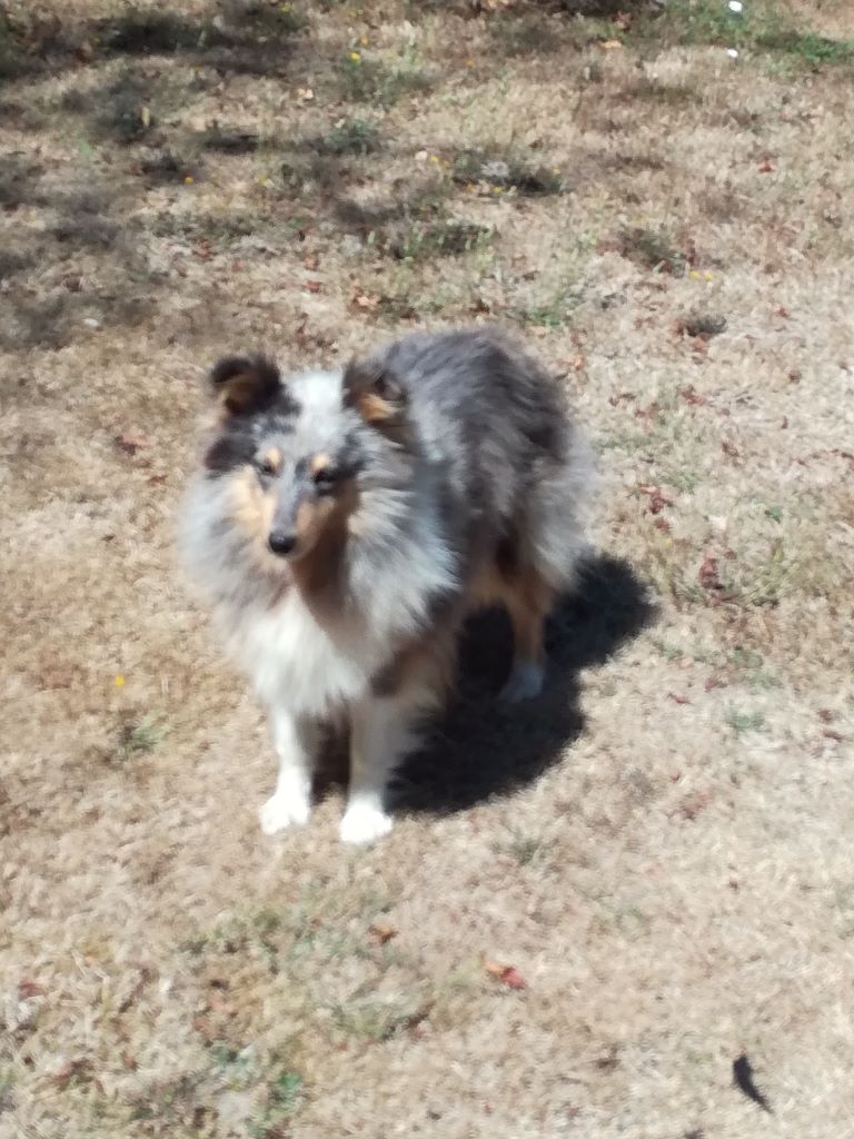 Publication : Du domaine de cora de ramatuelle