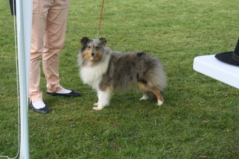 Publication : Du domaine de cora de ramatuelle