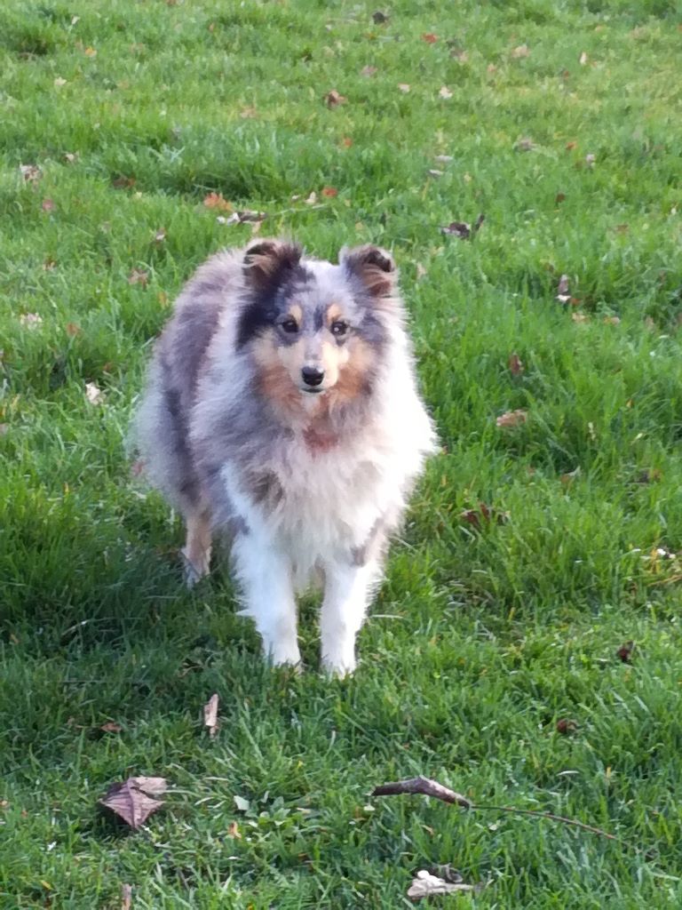 Publication : Du domaine de cora de ramatuelle