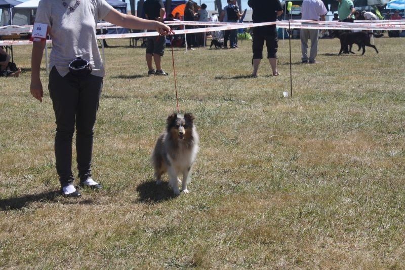 Publication : Du domaine de cora de ramatuelle