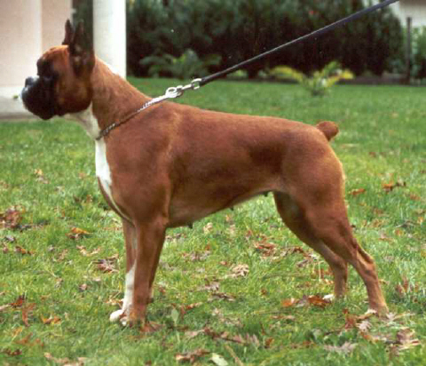 Publication : de la ville d'hiver