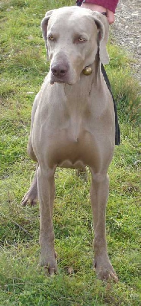 Publication : des lutins gris de l'autan