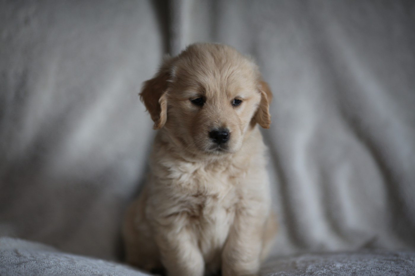 Publication : de la Vallée du Dragon Blanc