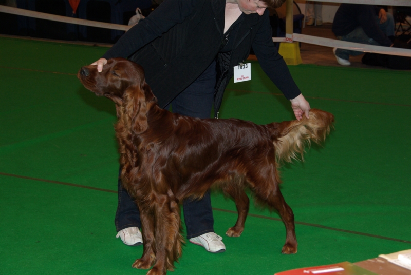 Publication : De la cour saint florent