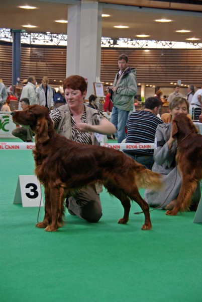 Publication : De la cour saint florent