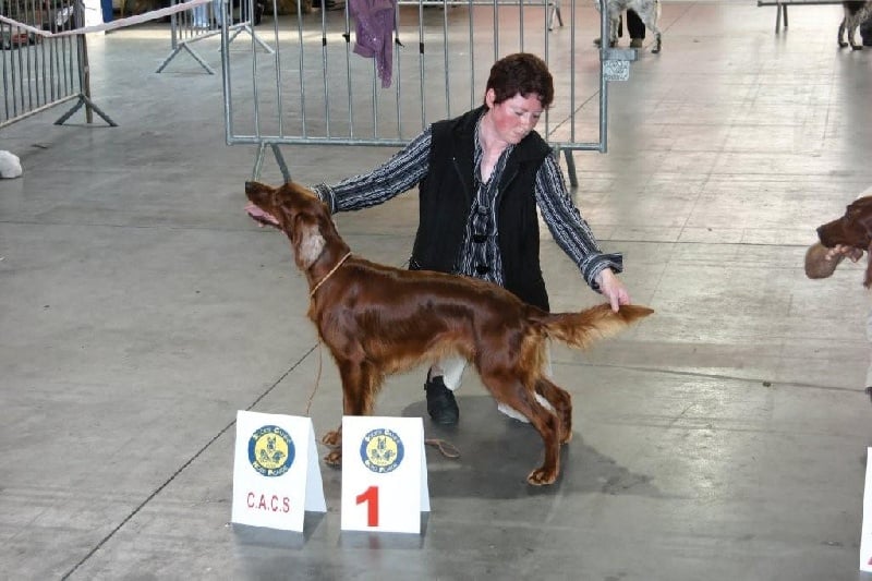 Victoria De la cour saint florent - 1e excellent CACS