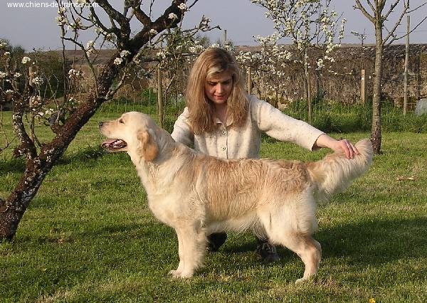 Unbelievable dream dite Leeloo Des vives - 1er Excellent classe jeune