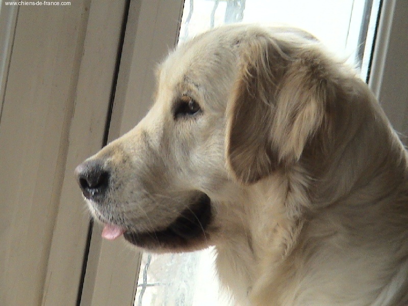 Ultimate angel smile Des vives - 1er Excellent classe intermédiaire