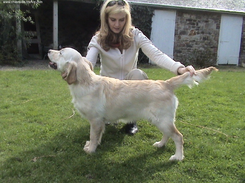 A little asthéa halloween Of never ending dream - Très prometteur en classe puppy