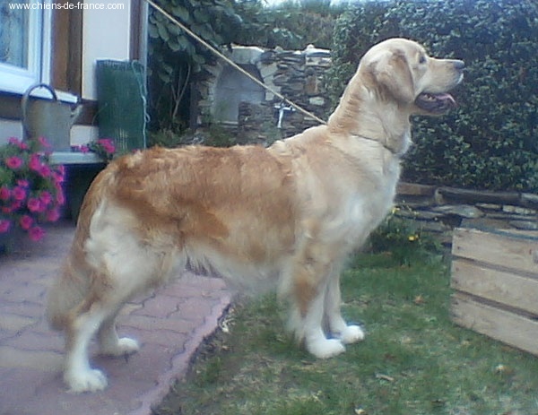 Unbelievable dream dite Leeloo Des vives - 4ème excellent classe ouverte