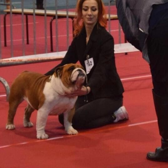 Publication : Di Vendra Nera Auteur : DI VENDRA NERA