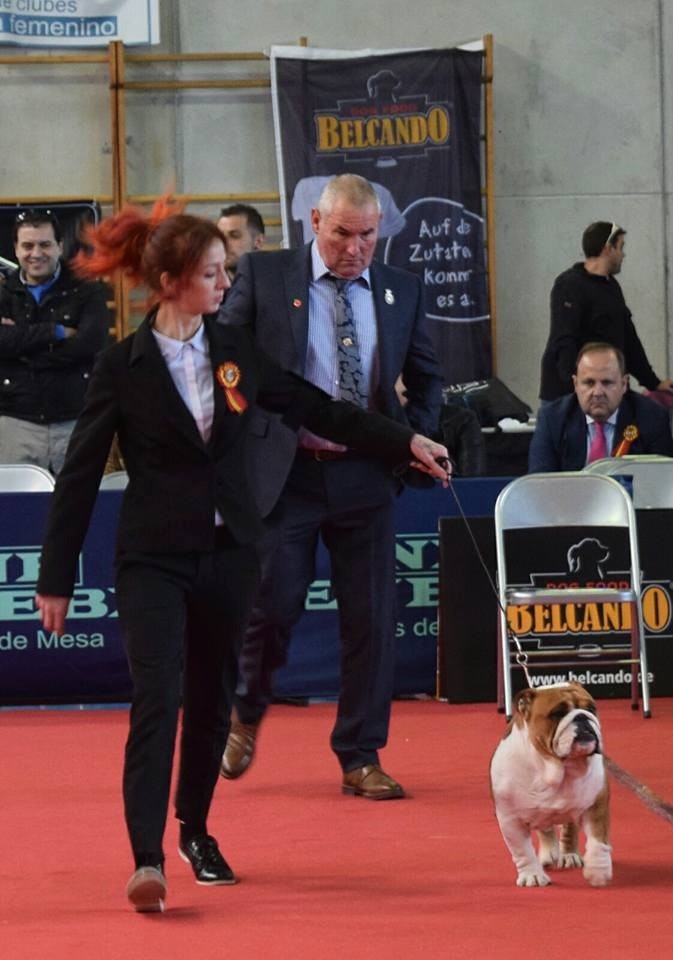 Publication : Di Vendra Nera Auteur : DI VENDRA NERA