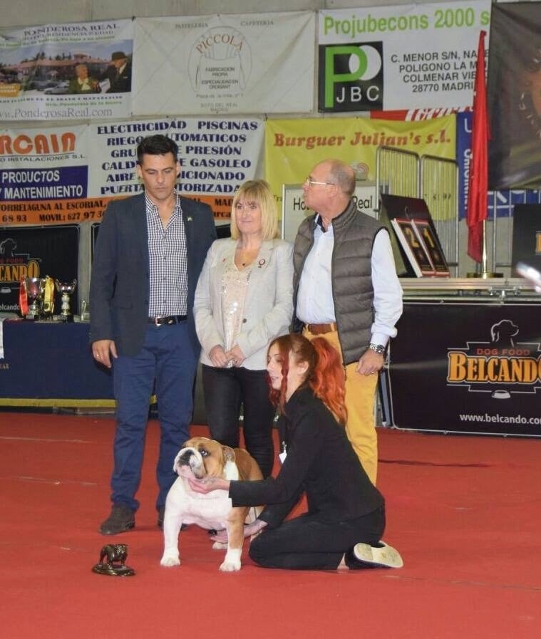 Publication : Di Vendra Nera Auteur : DI VENDRA NERA