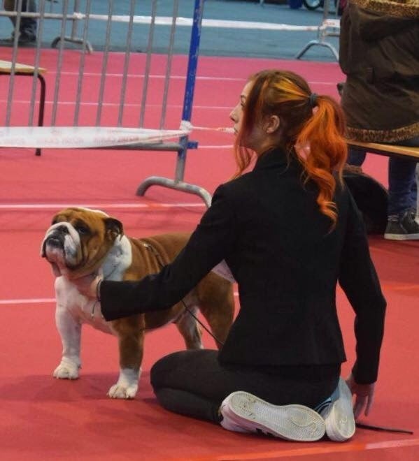 Publication : Di Vendra Nera Auteur : DI VENDRA NERA