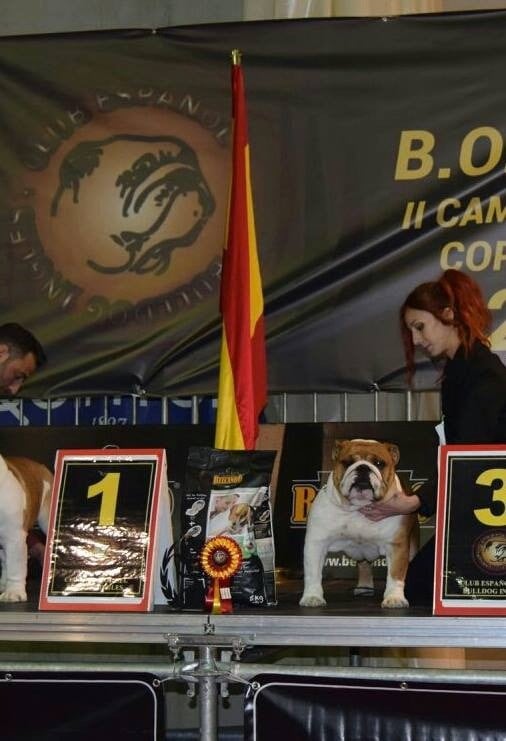 Publication : Di Vendra Nera Auteur : DI VENDRA NERA