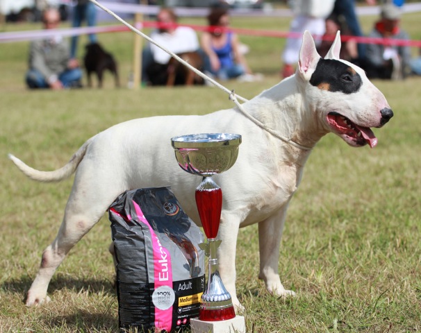 Publication : du moulin d'allamont