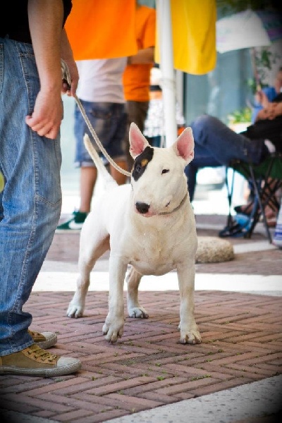 Publication : du moulin d'allamont