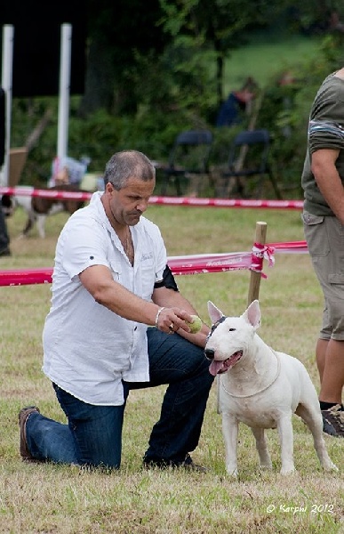 Publication : du moulin d'allamont