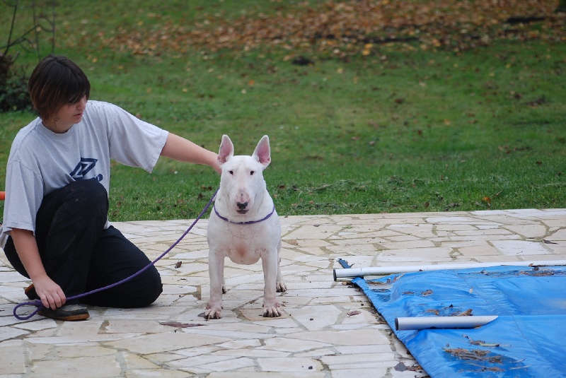 Publication : du moulin d'allamont